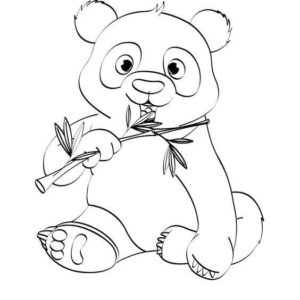 oso-panda-dibujo