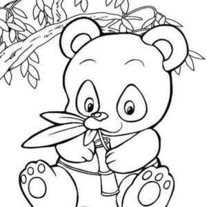 oso-panda-dibujo-para-niños