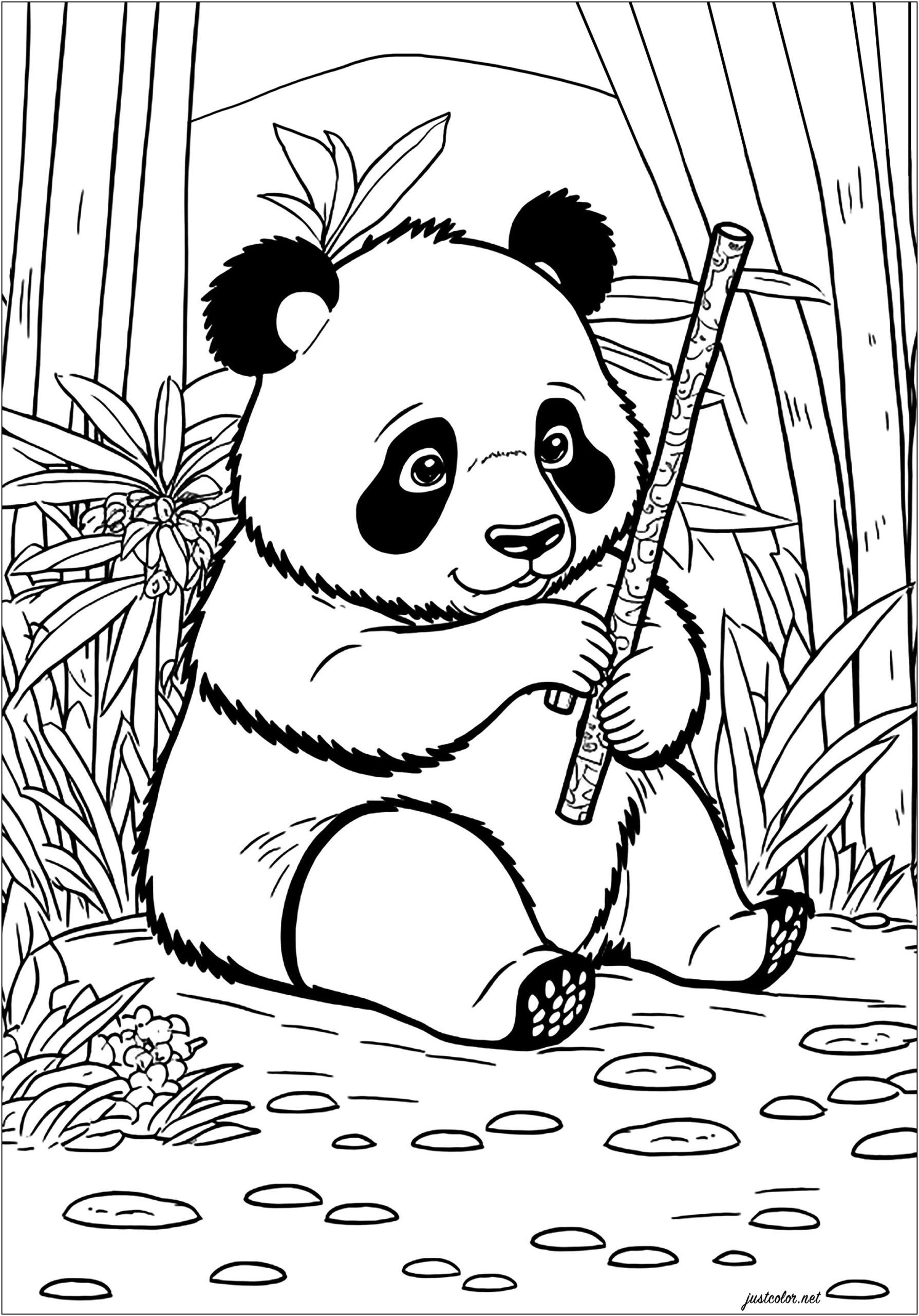 oso-panda